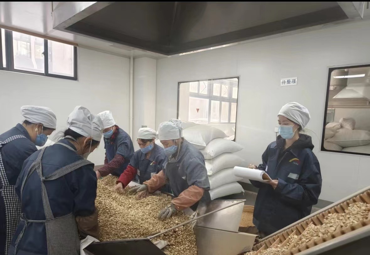 Qingdao Biohoer Biotech Co., Ltd. ha comenzado oficialmente la construcción