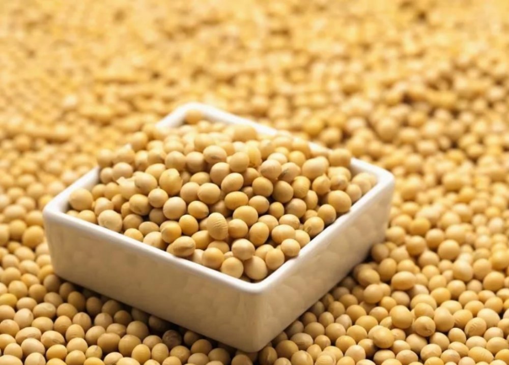 ¿Cuáles son los beneficios de las isoflavonas de soja?