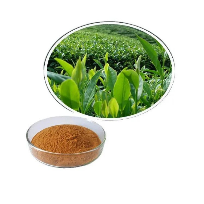 ¿Cuáles son las aplicaciones de alimentos del extracto de té verde?