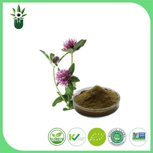 Extracto de Medicago sativa L