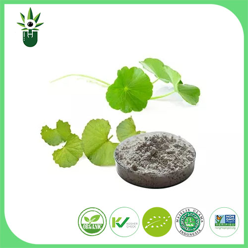 Extracto de centella asiática