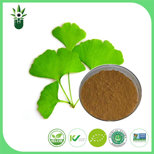 Extracto de Ginkgo Biloba