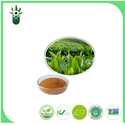 Extracto de té verde natural 98% L